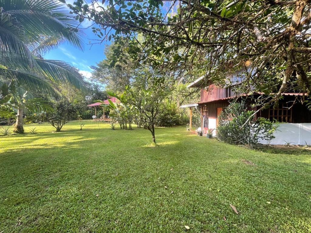 Corcovado Guest House Дрейк Екстер'єр фото